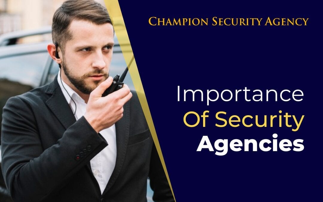 Importance of Security Agencies