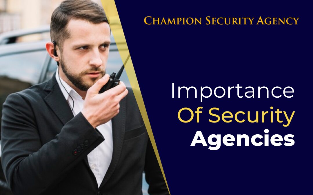 importance-of-security-agencies-champion-security-agency