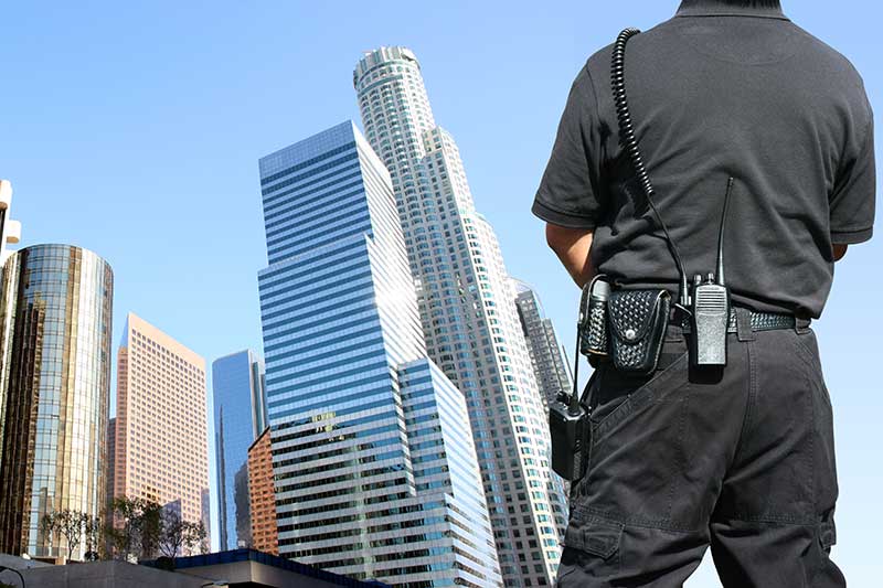 Benefits of Hiring a Security Guard for Your Business